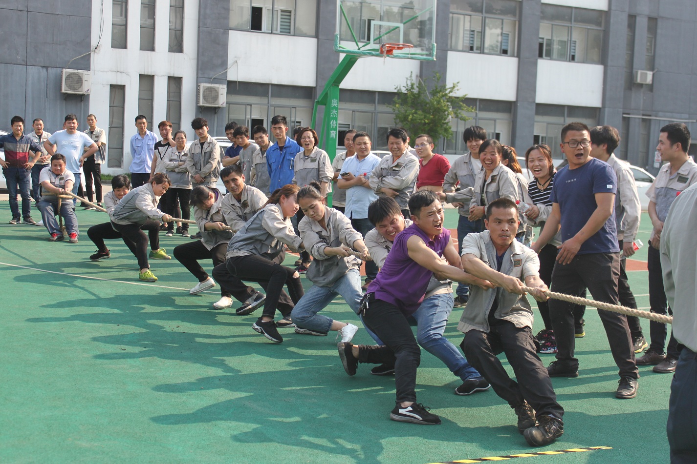 九洲国际官网-不凡成就非凡,相信品牌力量