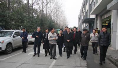 十年九洲国际官网伴我行 又添春雨沐东风 ——记天津津南区党政代表团光临合肥九洲国际官网调查领导